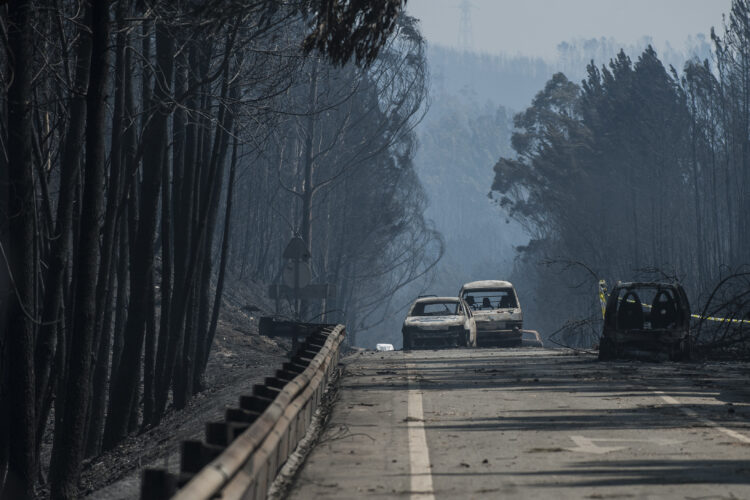 Comissão técnica admite que limpeza das faixas de gestão faria pouca diferença no incêndio de Pedrógão Grande