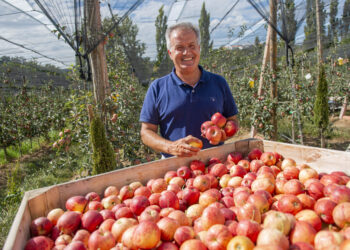 Jorge Soares: “Um pomar de Maçã de Alcobaça é um santuário de biodiversidade”