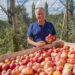 Jorge Soares: “Um pomar de Maçã de Alcobaça é um santuário de biodiversidade”
