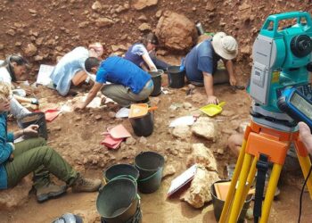 Projectos arqueológicos de Leiria recebem apoio extraordinário da Direcção-Geral do Património