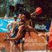 Cinco Mais Um: equipa movida a abraços vai jogar a Liga dos Campeões de andebol de praia