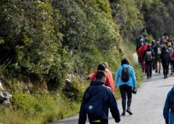 Amor assinala prevenção do cancro da mama com caminhada