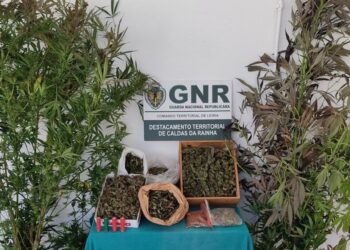 GNR detém suspeitos de tráfico de estupefacientes em Caldas da Rainha