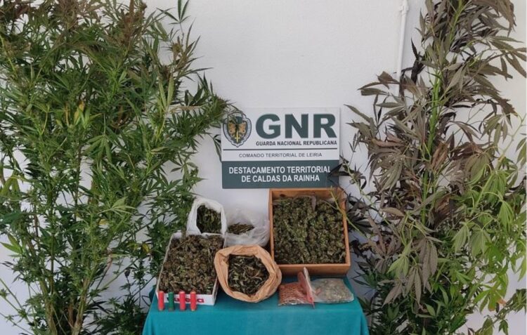 GNR detém suspeitos de tráfico de estupefacientes em Caldas da Rainha