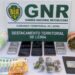 GNR detém casal com 106 doses de cocaína em Porto de Mós