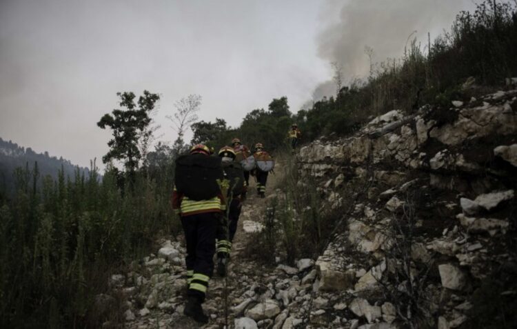 Número de incêndios na região caiu para metade este ano