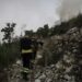 Número de incêndios na região caiu para metade este ano