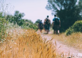 Percursos Pedestres em Terras de Cister mostram 17 trajectos pelo concelho de Alcobaça