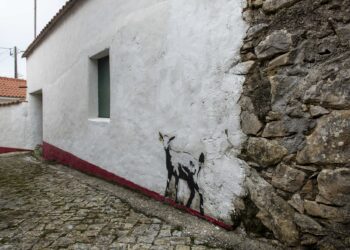 Um chocalho roubado e 32 cabras no primeiro ano da Aldeia Pintada (com fotogaleria)