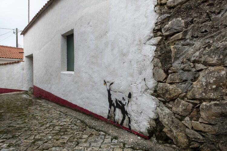 Um chocalho roubado e 32 cabras no primeiro ano da Aldeia Pintada (com fotogaleria)