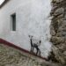 Um chocalho roubado e 32 cabras no primeiro ano da Aldeia Pintada (com fotogaleria)