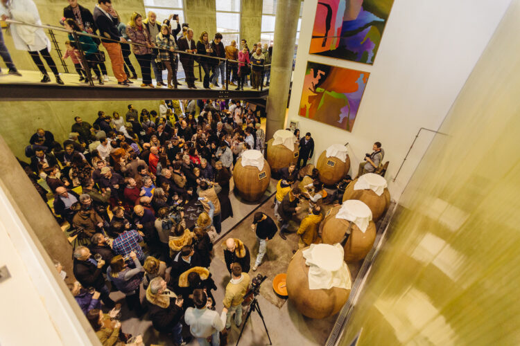 Herdade do Rocim reúne produtores de vinho de talha no Amphora Wine Day