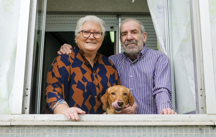 Aida, a cadela que descobriu o amor depois de viver uma tragédia