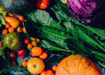 ‘Green food festival’ alerta para importância da alimentação saudável