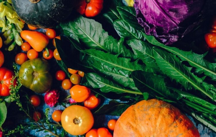 ‘Green food festival’ alerta para importância da alimentação saudável
