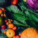 ‘Green food festival’ alerta para importância da alimentação saudável