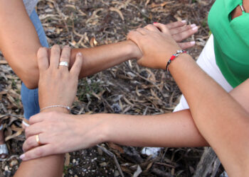 Projecto de Pombal premiado por promover desenvolvimento local sustentável