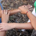 Projecto de Pombal premiado por promover desenvolvimento local sustentável