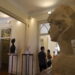 Museu Joaquim Correia celebra aniversário com actividades gratuitas