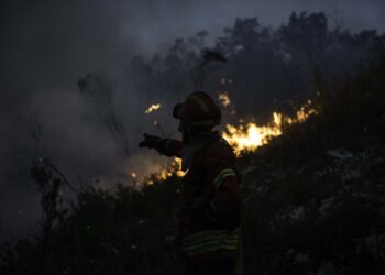 Distrito de Leiria teve o melhor resultado da década, em matéria de área ardida com incêndios rurais
