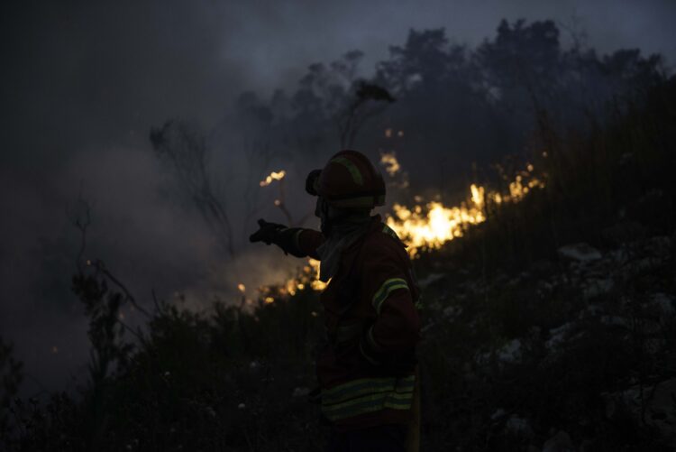 Distrito de Leiria teve o melhor resultado da década, em matéria de área ardida com incêndios rurais