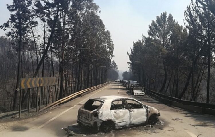 Incêndio de Pedrógão Grande integra série de documentários produzidos por Leonardo Di Caprio