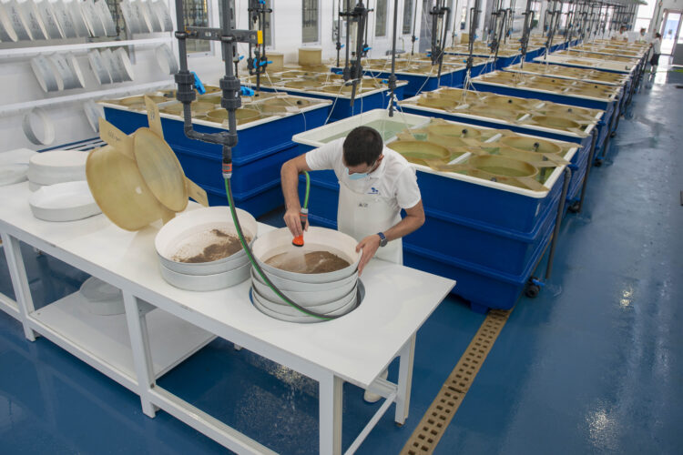 Empresa Oceano Fresco angaria investimento de 6,1 milhões de euros