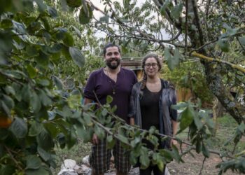 Usar o solo para a agricultura sem o agredir