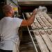 Produtores somam prejuízos e alguns alimentos vão mesmo subir de preço