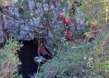 Paleontólogos extraíram em Turquel “o mais completo urso fóssil do país”