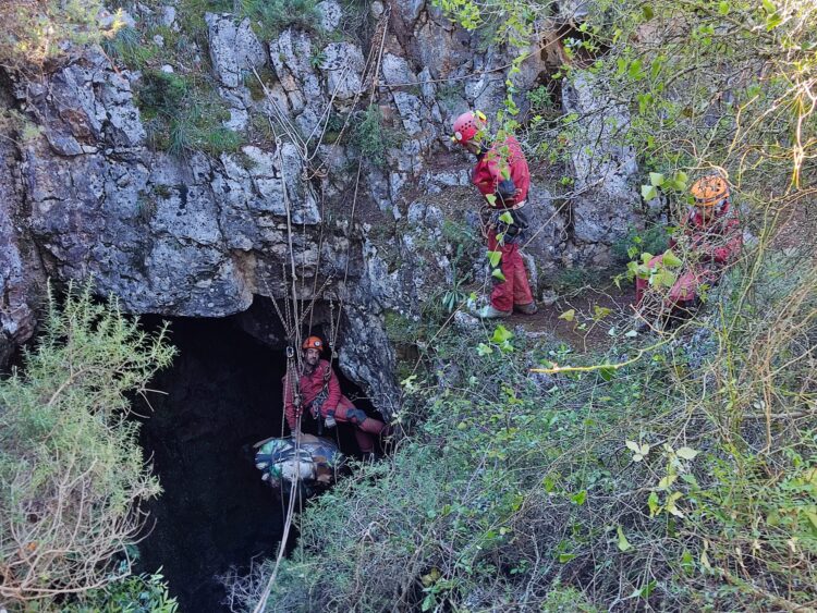 Paleontólogos extraíram em Turquel “o mais completo urso fóssil do país”