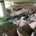Rio da Areia galga terrenos agrícolas e escava pilar da A8