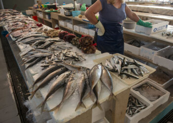 Restam duas peixeiras no mercado municipal da Nazaré