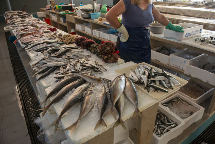 Restam duas peixeiras no mercado municipal da Nazaré