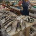 Restam duas peixeiras no mercado municipal da Nazaré