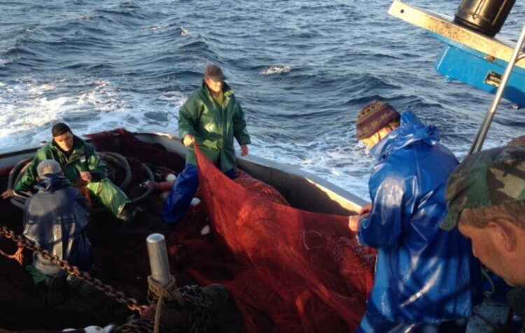Pescadores do Cerco contestam redução de quotas de pesca