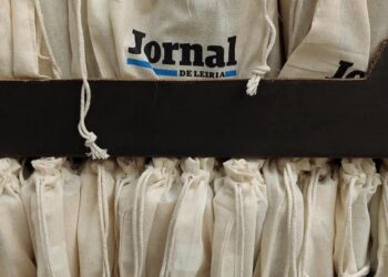 Agrupamento de Escolas da Nazaré promove crescimento da floresta com sementes oferecidas pelo JORNAL DE LEIRIA
