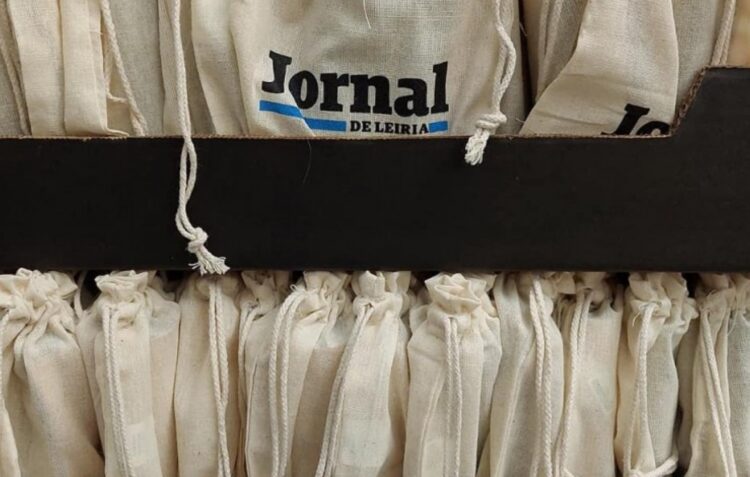 Agrupamento de Escolas da Nazaré promove crescimento da floresta com sementes oferecidas pelo JORNAL DE LEIRIA