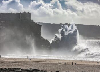 Nazaré avança para sistema de apoio e segurança ao surf