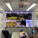 Drones e câmaras móveis reforçam videovigilância florestal na região de Leiria