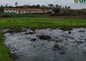 Denúncias à GNR de Leiria  sobre descargas de efluentes pecuários quase triplicaram em 2021