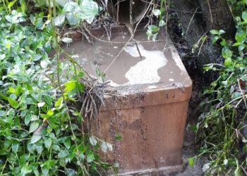 GNR detecta descarga ilegal de suinicultura em Caldas da Rainha