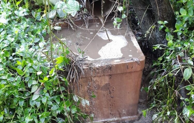 GNR detecta descarga ilegal de suinicultura em Caldas da Rainha