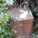 GNR detecta descarga ilegal de suinicultura em Caldas da Rainha