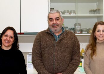 Travar a Dengue é missão de cientista de Leiria