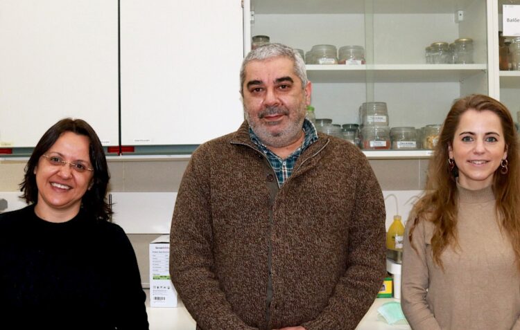 Travar a Dengue é missão de cientista de Leiria