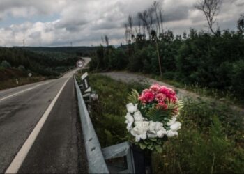 Tribunal dos Direitos Humanos estendeu o prazo de contra-argumentação a jovens que processaram 33 Estados por inacção contra alterações climáticas