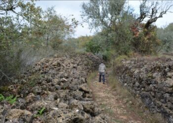 Proposta de Área de Paisagem Protegida proíbe colheita de orégãos ou de caracóis