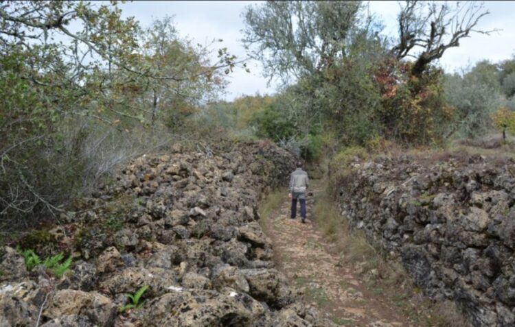 Proposta de Área de Paisagem Protegida proíbe colheita de orégãos ou de caracóis
