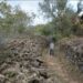 Proposta de Área de Paisagem Protegida proíbe colheita de orégãos ou de caracóis